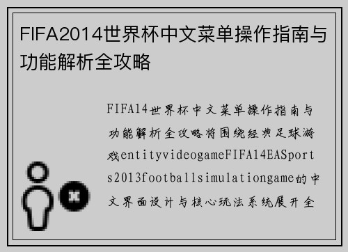 FIFA2014世界杯中文菜单操作指南与功能解析全攻略